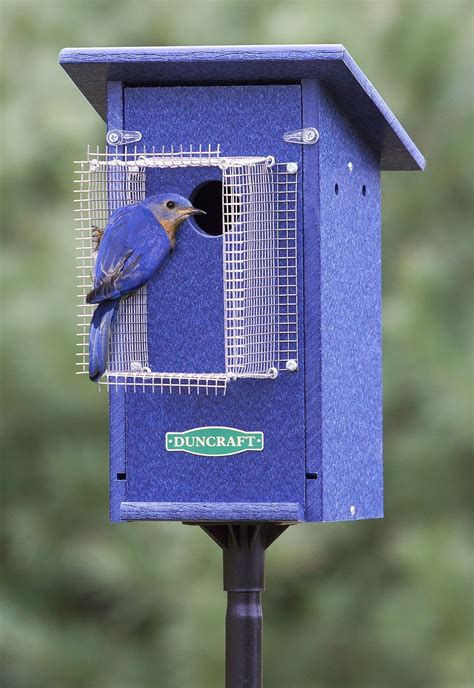 how to attach a bluebird house to a metal pole|base mounted bird house pole.